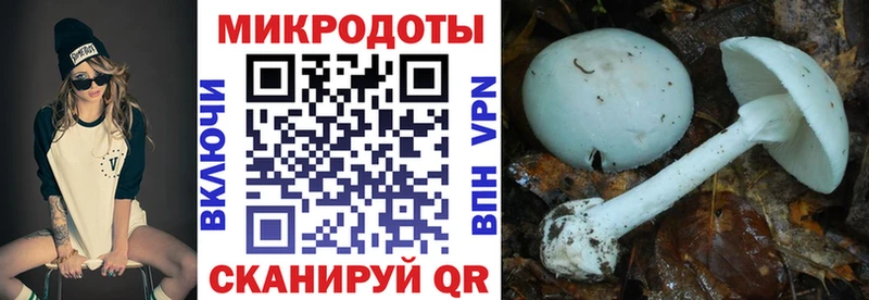 даркнет сайт Новошахтинск Галлюциногенные грибы MAGIC MUSHROOMS