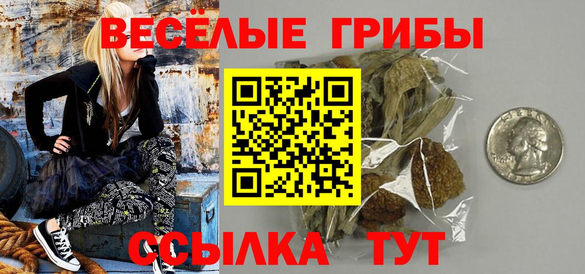 Псилоцибиновые грибы мицелий Новошахтинск