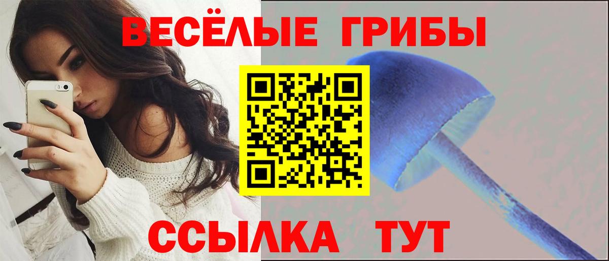 Псилоцибиновые грибы Cubensis  Вход с VPN  Новошахтинск 