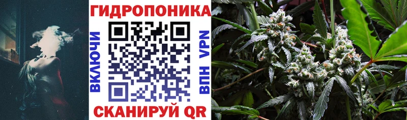 Бошки Шишки планчик  продажа наркотиков  Новошахтинск 
